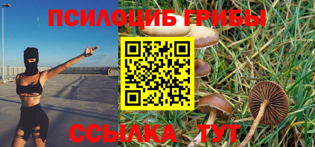 Магнитогорск  Галлюциногенные грибы прущие грибы  Вход с VPN 